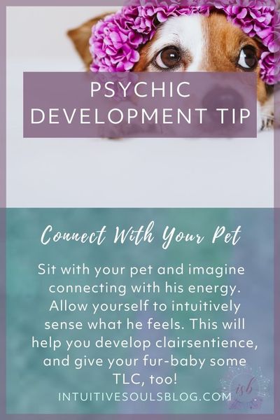 strengthen your intuition by connecting with your pet
